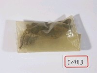 藏品(動物骨化石)的圖片